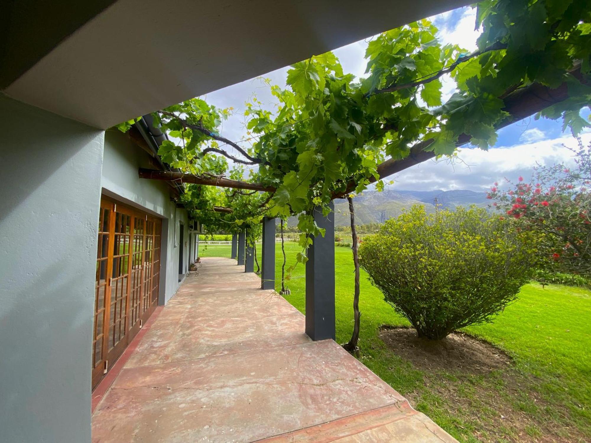 Готель Oaksrest Vineyards Guest Farm Ледісміт Екстер'єр фото